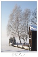 Winter am Zierker See